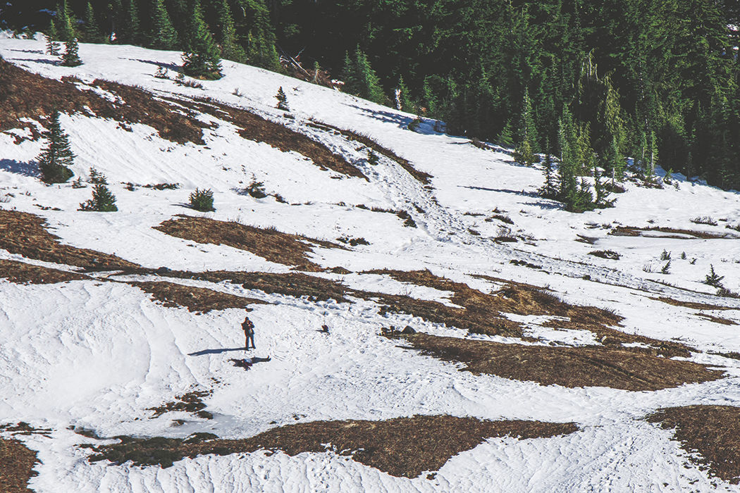 Photos: From Paradise in Mount Rainier National Park